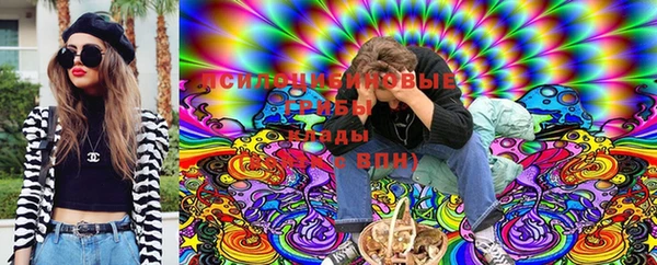 индика Белокуриха