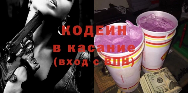 индика Белокуриха
